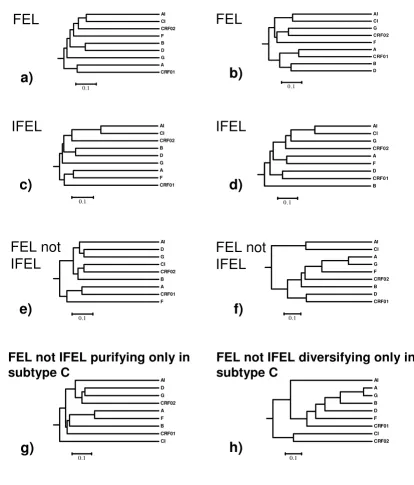 Figure 4diversifying (right) selection across 9 different datasetsUPGMA dendrograms of regression matrices of normalised dN/dS ratios of codons detected to be under purifying (left) and UPGMA dendrograms of regression matrices of normalised dN/dS ratios of