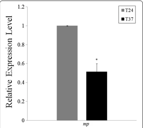 Fig. 7 Relative accumulation of ASGV-Js2 genomic RNA and MPsubgenomic RNA in tip tissues of in vitro-grown pear shoots inresponse to 37 °C treatment