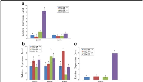 Fig. 9 Relative expression levels of PpDCL2 and PpDCL24 (a), PpAGO1, PpAGO2, and PpAGO4 (b) and PpRDR1 (c) genes were determined fromtotal RNA isolated from ASGV-infected and uninfected P