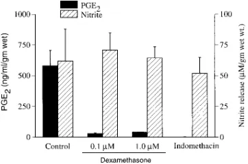 Fig. 1. The release of NO/PGE2 in the medium was monitored after 48 h