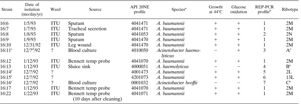 TABLE 1. Strains isolated at the Leeds General Inﬁrmary used in this study