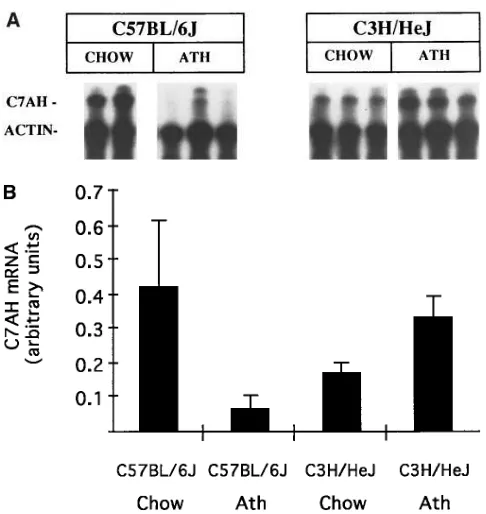 Figure 8. Hepatic C7AH mRNA levels in the parental inbred strains products from a ribonuclease protection assay for C7AH mRNA in livers of B6 and C3H mice maintained on chow or atherogenic (B6 and C3H on the chow and atherogenic diets