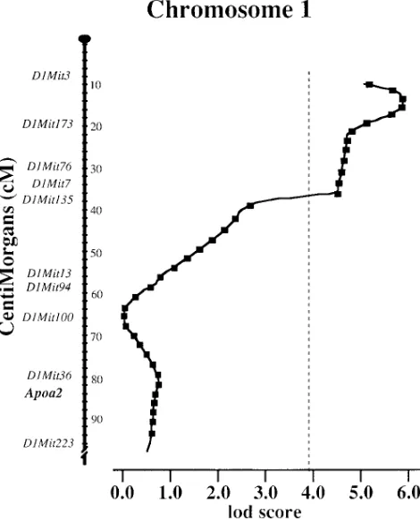 Figure 6. A QTL for the change in LDL/VLDL cholesterol on proxi-mal mouse chromosome 1