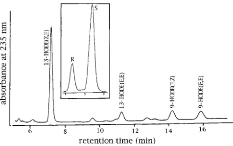 Figure 1. HPLC analysis of hydroxy fatty acids formed during 15-lipoxygenase-LDL interaction