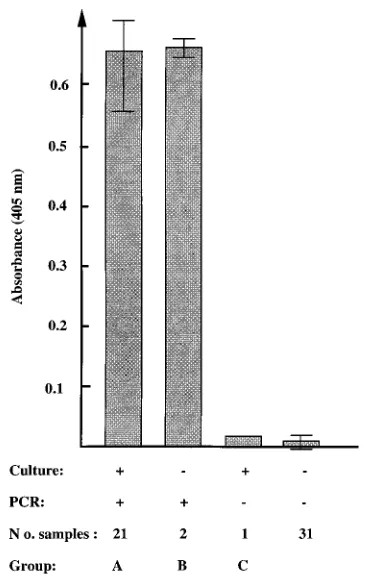 TABLE 1. Summary of results for the 24 samples which were positive by the PCR-based assay and/or the culture assay