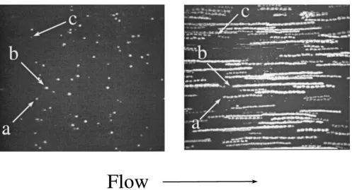 Figure 1. Low velocity surface translocation of platelets interacting with immobilized von Willebrand factor