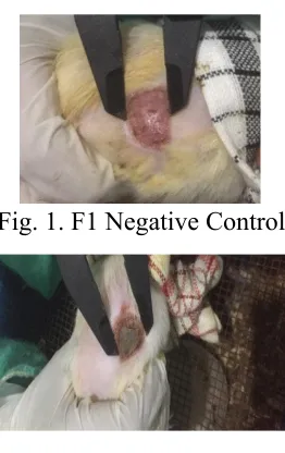 Fig. 1. F1 Negative Control