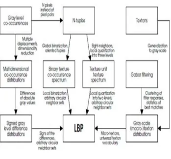 Fig. 4. LBP in the Field of Texture Operators. 