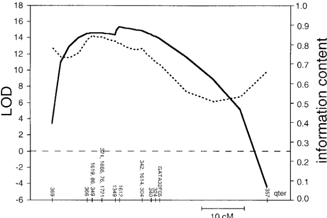 Figure 2. Linkage analysis of NIDDM as-sociated with low stimulated insulin levels (see Methods) in four MODY families
