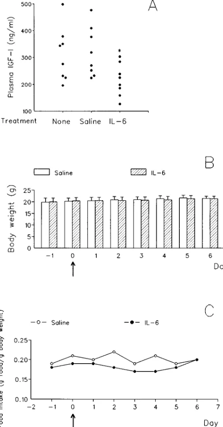 Figure 5. (line or left untreated. Injections were administered at 12-h intervals (8 a.m