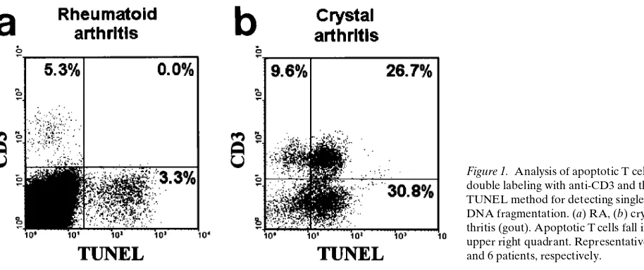 Figure 1. Analysis of apoptotic T cells by 