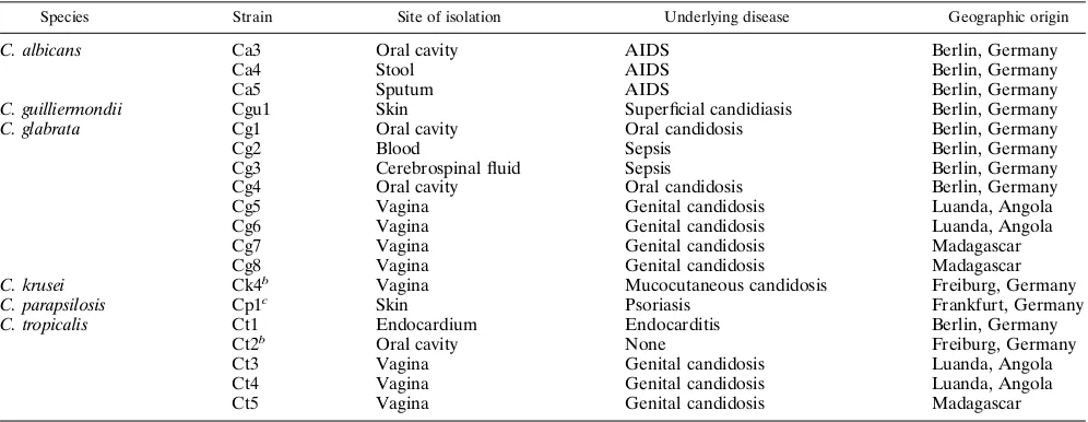 TABLE 2. Clinical isolates used in this studya