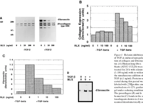 Figure 1. Relaxin inhibition 