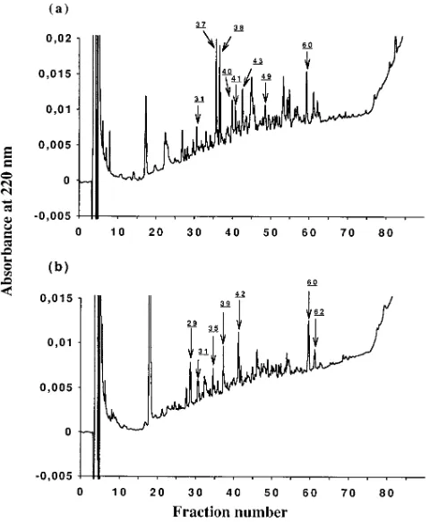 Figure 1. HPLC profiles of peptides eluted from HLA-B27 trans-tions sequenced by Edman NHfected human C1R cell lines (a, C1R-B*2705; b, C1R-B*2703)