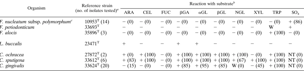 TABLE 3. Fluorogenic substrate reactions of reference strains and fresh isolates of Selenomonas species and Campylobacter species