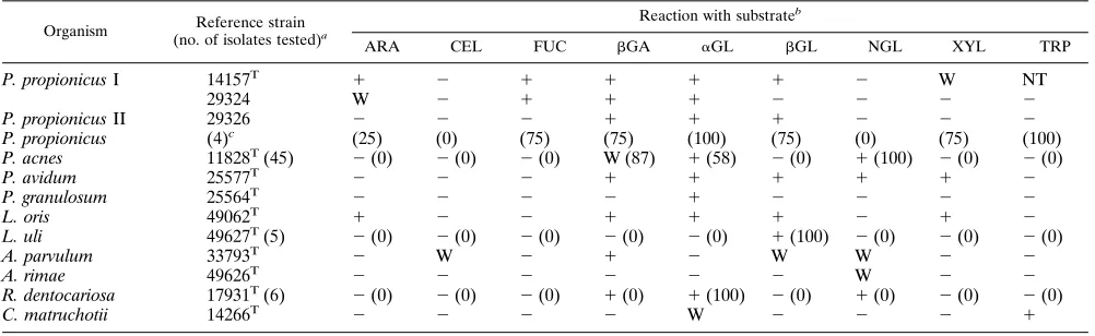TABLE 7. Additional ﬂuorogenic substrate reactions of reference strains and fresh isolates of A