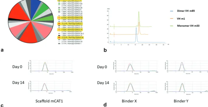 Figure 1. Identification and characterization of the mCAT1 scaffold. (a) Isolated human VH genes from multiple heating selection steps