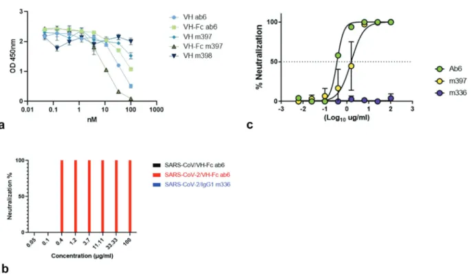 Figure  3.  Competition  with  ACE2-Fc  and  SARS-CoV-2  neutralization  activity  of  ab6  and  m397