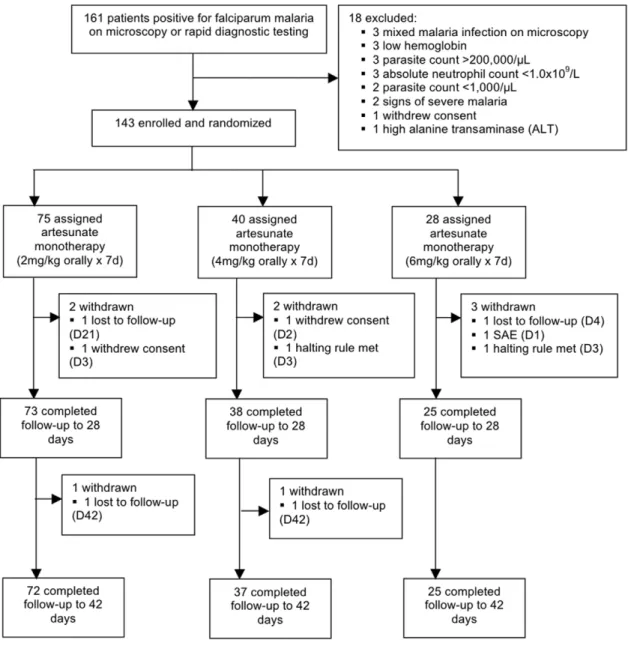 Figure 2. Enrollment, randomization and workflow.