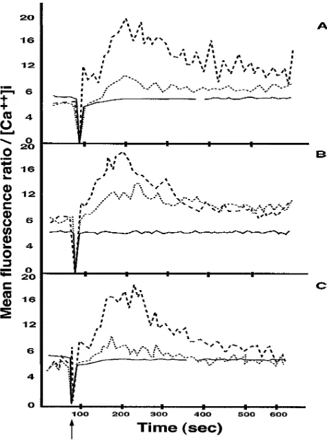 Figure 2. Representative anti–sIg-induced [Ca2�]i responses in lupus patients and normal individuals