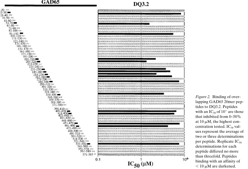 Table I. Immunogenicity of Human GAD65-derived Peptides