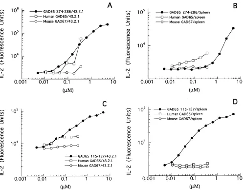 Figure 5. T cells recognize naturally processed human GAD65. T cell hybridomas (10incubated with either 105) specific for GAD65 115–127 or GAD65 274–286 were 5 murine B cell hybridoma cells transfected with DRB1*0401 (43.2.1), (A and C) or 5 � 105 spleen c