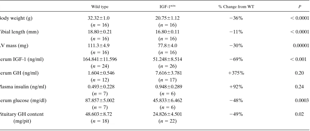 Table I. Principal Characteristics of IGF-1m/m Mice and Age-matched Wild Type Controls