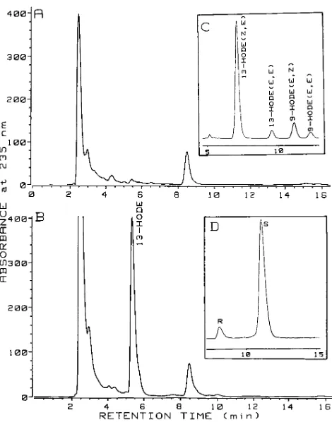 Figure 2. HPLC analysis of linoleic acid oxygenation products formed by peripheral monocyte-derived macrophages prepared from normal and transgenic rabbits