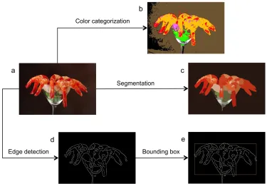 Figure 2. Illustration of (a) original photo, (b) color categorization,  (c) segmentation, (d) edge detection, and (e) bounding box