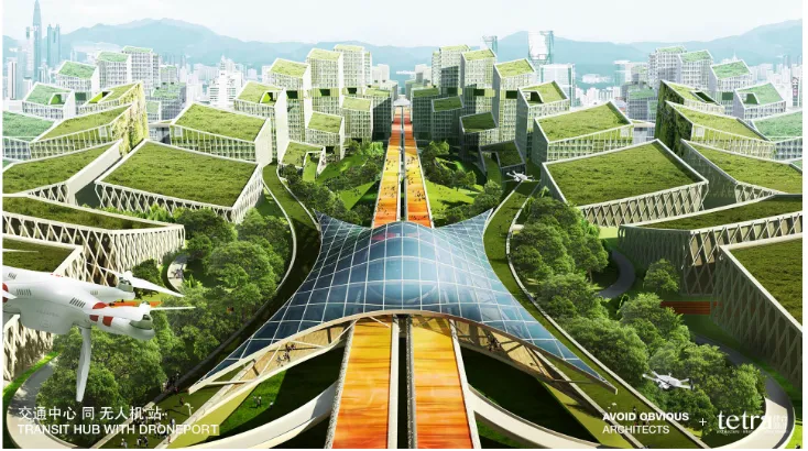 Fig. 4. Shenzhen master plan. Avoid obvious architects and Tetra. 