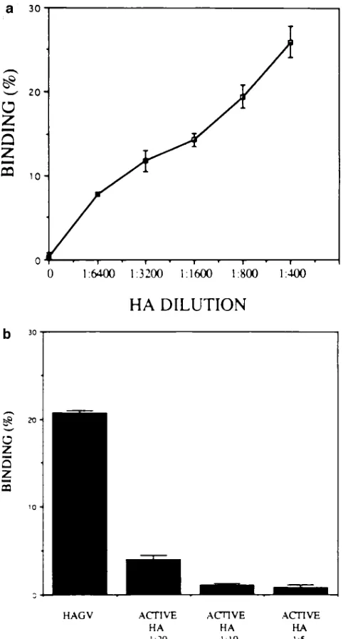 Figure 3. HA fragments but not high molecular weight HA induce chemokine gene expression in human inflammatory alveolar mac-rophages (HAM)