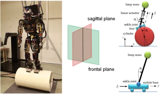 Figure 2.1. Sarcos humanoid robot standing on a free-rolling cylinder. The 3-D motion of the robot with the cylinder is decomposed into two 2-D motions in the sagittal and frontal planes, for which different simplified models are used in designing balance 