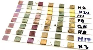 Fig. 2. Tray of pH samples collected by students Audrey Buck and Teagan Marron, fall 2018