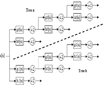 Fig. 2 Implementation of DTCWT 