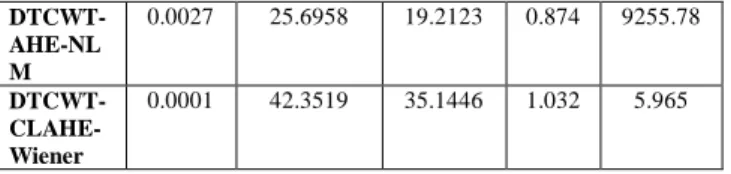 Fig.  4  (a)  Input  Image,  (b)  Histogram  Equalized  Image,  (c)  Adaptive  histogram  equalized  Image,  (d)  DTCWT-HE-NLM  Image,  (e)  DTCWT-AHE-NLM, (f) DTCWT-CLAHE-Wiener