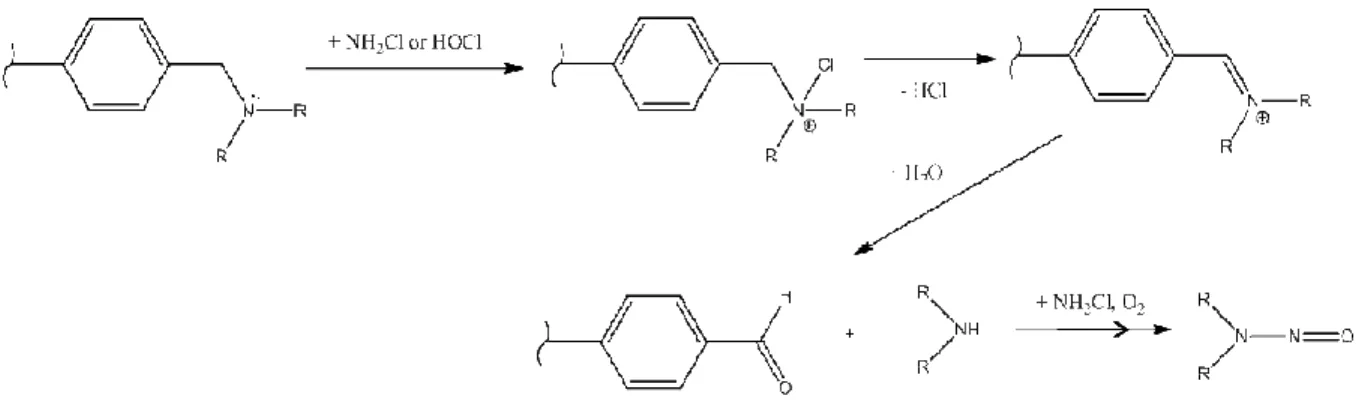 Figure 3.6. Proposed pathway for formation of nitrosamines from dialkylamine  groups bound to polystyrene-divinylbenzene polymers