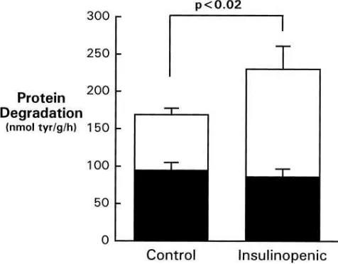 Table I. Organ Weights and Protein Content of Muscles from Insulinopenic and Pair-fed, Control Rats