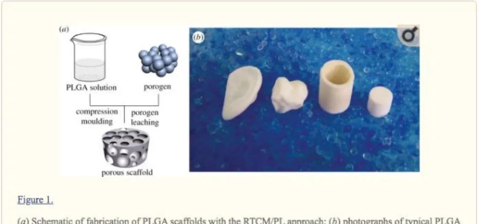 Figure 8. ​ Example of PLGA scaffolding techniques taken from article [2] cited in references