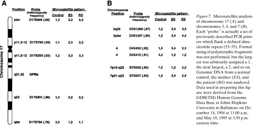Figure 7. Microsatellite analysis of chromosome 17 (A) and chromosomes 3, 4, and 7 (B)