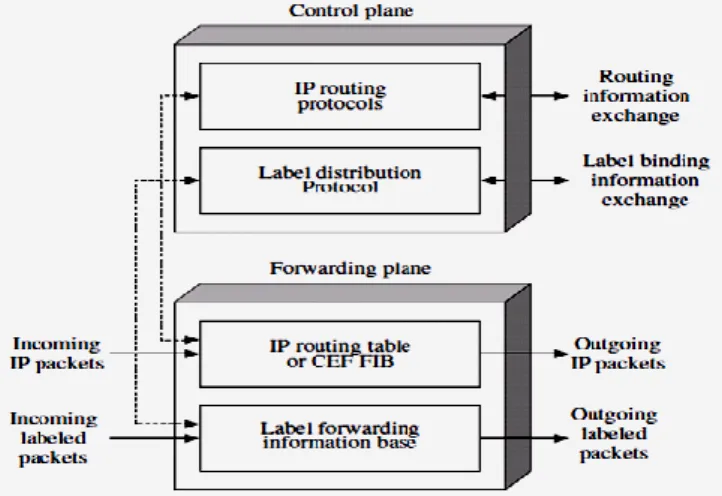 Figure 1: MPLS Architecture 