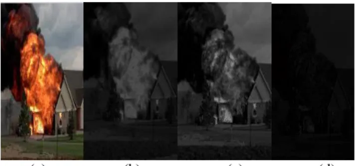 Figure 2. Histogram of a fire region 