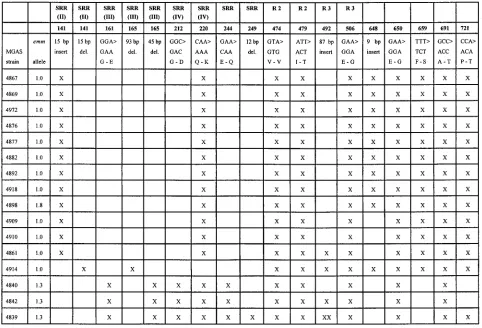 TABLE 2. Structural changes in the S. pyogenes sic gene and Sicprotein caused by insertions and deletions