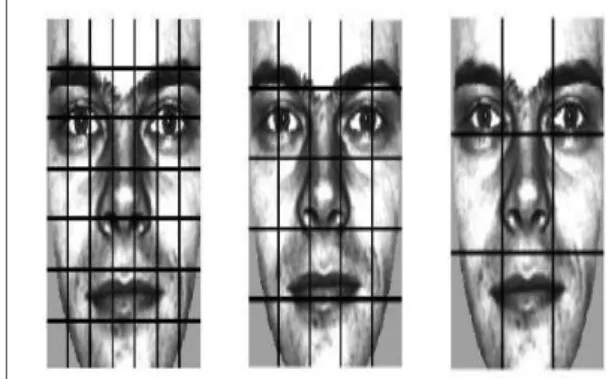 Figure 3: A facial image divided into 7x7,  5x5 and 3x3 Rectangular Region  The basic histogram can be extended into a  spatially  enhanced  histogram  which  encodes  both  the  appearance  and  the  spatial relations of facial regions