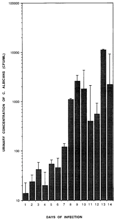 FIG. 1. Range of colony counts in quantitative urine cultures from rabbitswith renal candidiasis