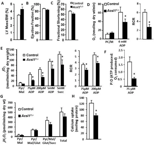 Figure 2.2.  Loss of ACSL1 caused mitochondrial dysfunction.  A) Left ventricle (LV) mass  normalized to body weight (n=4)