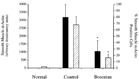 Figure 6. Reduction of stellate cell activation after established liver centage of cells expressing both desmin and smooth muscle injury by bosentan