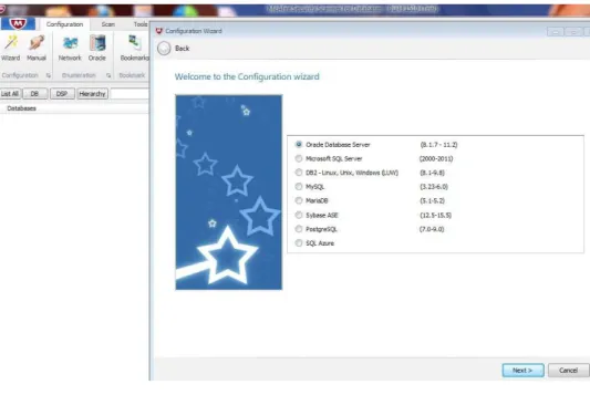 Figure 4: DSS Database Selection 