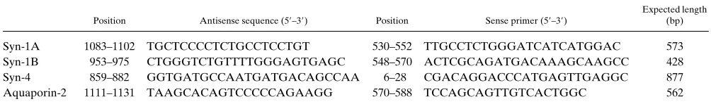 Table I. Oligonucleotide Primers Used in This Study