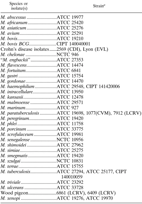 TABLE 1. Reference strains used in the present study