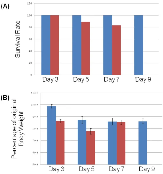 Figure 3:  Body weights and survival rates for CD1 and C57BL/6 mice. (A) Survival  rates of CD1 (blue bars) and C57BL/6 (red bars) after irradiation